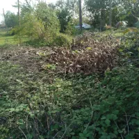 زمین کاملا مسکونی بر اسفالت|فروش زمین و ملک کلنگی|شفت, |دیوار