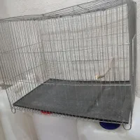 قفس بزرگ و کوچک