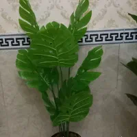 گل های مصنوعی|گل مصنوعی|بهارستان, |دیوار