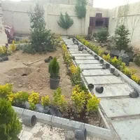 خدمات چمن کاری نهال کاری گل کاری باغبانی گلکاری|خدمات باغبانی و درختکاری|مشهد, توس (بلوار توس)|دیوار