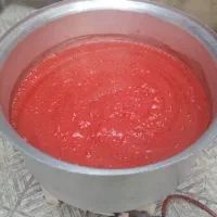 محصولات خانگی