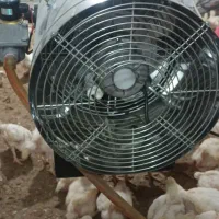 هیترجت۵۰هزار نوگازشهری