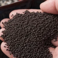 چای باروتی کله مورچه ای عالی (درجه ۱)