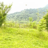 زمین-مسکونی