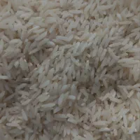 برنج درجه یک اعلا طارم هاشمی