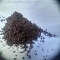 چای باروتی(کله‌مورچه‌ای)چای خارجی فله بادام زمینی