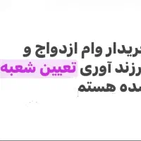 خریدفروش‌وام‌ازدواج‌تعین‌شعبه‌شدهفرزندآوری،جانبازی