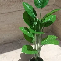 گل های مصنوعی وارداتی|گل مصنوعی|تهران, هرندی|دیوار