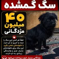 گمشده