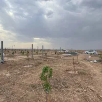 فروش ویژه زمین باغی با اقساط ۱۵ماه|فروش زمین و ملک کلنگی|شاهین‌شهر, گرگاب|دیوار