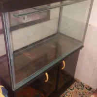 آکواریم با میز ام دی اف نوع|ماهی|شیراز, بالا کفت|دیوار