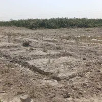 زمین زراعی چسب شهرک صنعتی همدانک|فروش زمین و ملک کلنگی|بهارستان, |دیوار