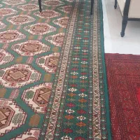 قالی دستباف ترکمن|فرش|مشهد, حجاب (شهرک غرب)|دیوار