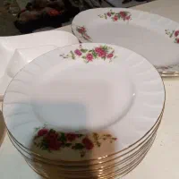 بشقاب چینی زرین اصل یدست 6نفره بادیس