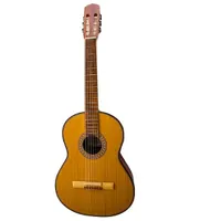 گیتار کلاسیک دالاهو