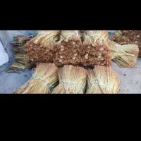 جارو|جاروبرقی، جارو شارژی، بخارشو|میانه, |دیوار