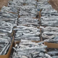 پخش زغال کبابی و پسته