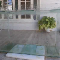 آکواریم|ماهی|برازجان, |دیوار