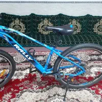دوچرخه