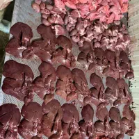 گوشت آنلاین