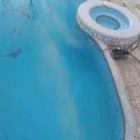 نظافت و پخت و پز