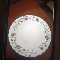 کاسه آبگوشت خوری وبشقاب پیش دستی آرکوپال|ظروف سرو و پذیرایی|پاکدشت, پاکدشت (مامازند)|دیوار