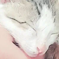 گمشده