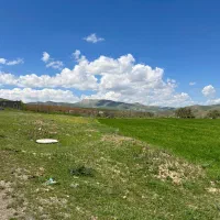 زمین-1300-متری-سارو-قامیش-چهل-گزی