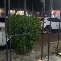 جالباسی رگال‌کف چوب|فروشگاه و مغازه|مشهد, اروند|دیوار