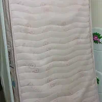 تشک نوجوان سالم