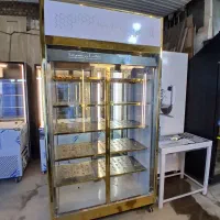 فریزر مرغی ایستاده دودرب
