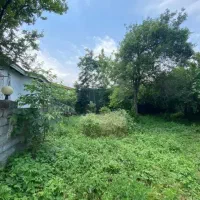 زمین-جنگلی-بالای-جاده-محصورسندششدانگ-تکبرگی