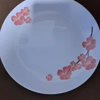 سرویس 18 نفره ارکوپال|ظروف سرو و پذیرایی|نشتارود, |دیوار