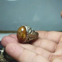 سلطانی هم رشدی با شجر خزه ای بهشهر|جواهرات|بهشهر, |دیوار