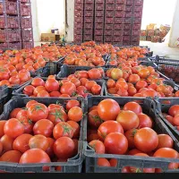 استخدام  کارگر ساده و کارگر بارگیری و تخلیه