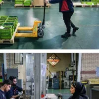 شرکت تولید مونتاژ نیرو میگیرد