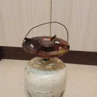 پیکنیک سالم