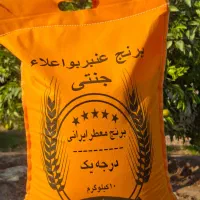 برنج عنبربو جنتی خالص،محصول شالیزارهای شوشتر