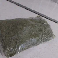 سبزی خشک شوید