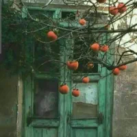 منزل مسکونی کنارتخته
