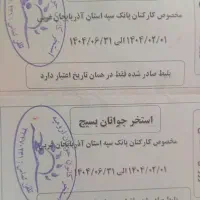 ۲ بلیط استخر بسیج
