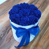 گل رز|گل مصنوعی|بیرجند, |دیوار