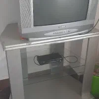 تلویزیون