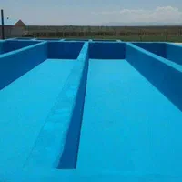 عایق حمام توالت روشویی بام تراس استخر نما* رفع نم|خدمات پیشه و مهارت|بجنورد, |دیوار