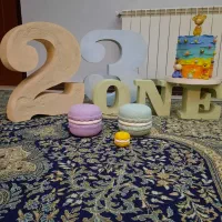 تعدادی دکوری یونولیت|مجسمه، تندیس، ماکت|قم, شهرک قدس|دیوار