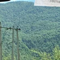تور نیم روز مشهد گردی