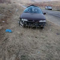 زانتیا تصادفی