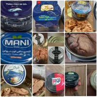 تن ماهی هوور،زرده،مارلین شیلان غذایی عمده بنکداری