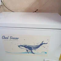 فریزر صندوقی و خمیر گیر ده کیلویی|فروشگاه و مغازه|ملارد, |دیوار