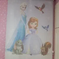 پرده زبرا
